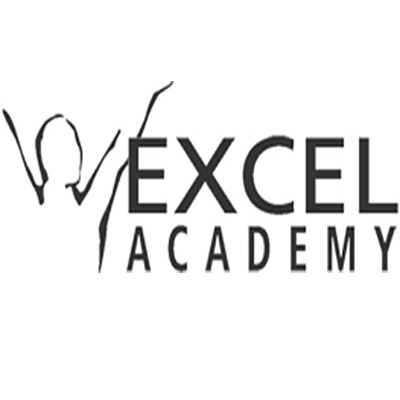 The Excel Academy