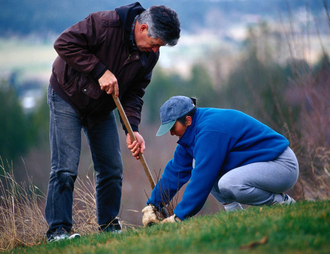 2 people digging a hole for a plant