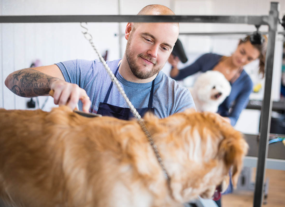 how-much-does-a-self-employed-dog-groomer-earn