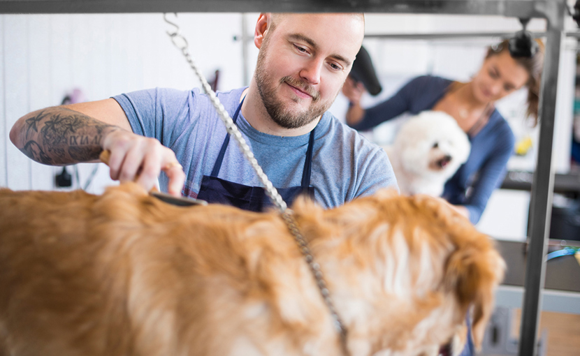 Pet Groomer