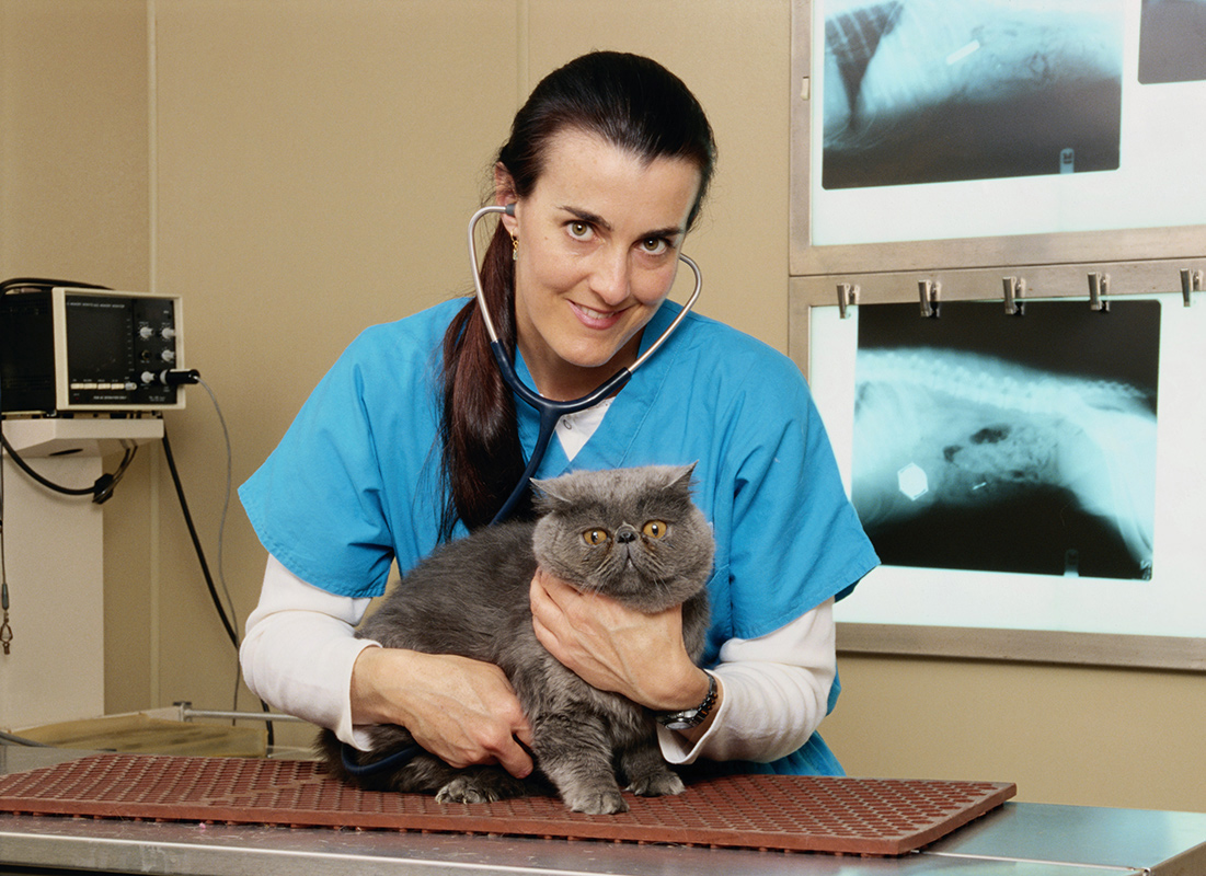 Veterinarian: Occupations in Alberta - alis