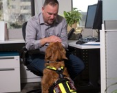 Employee with service dog in an office cubicle