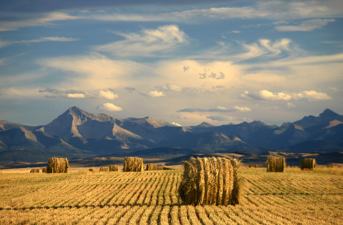 Alberta farm landscape with cylindrical hay bale and mountains in the background
