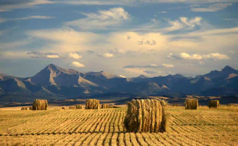 Alberta farm landscape with cylindrical hay bale and mountains in the background