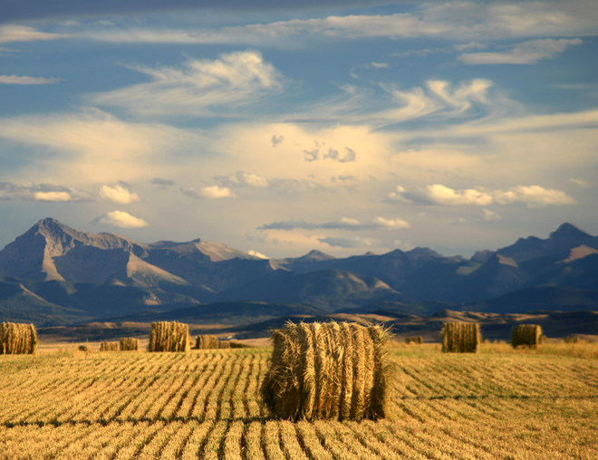Alberta farm landscape with cylindrical hay bale and mountains in the background