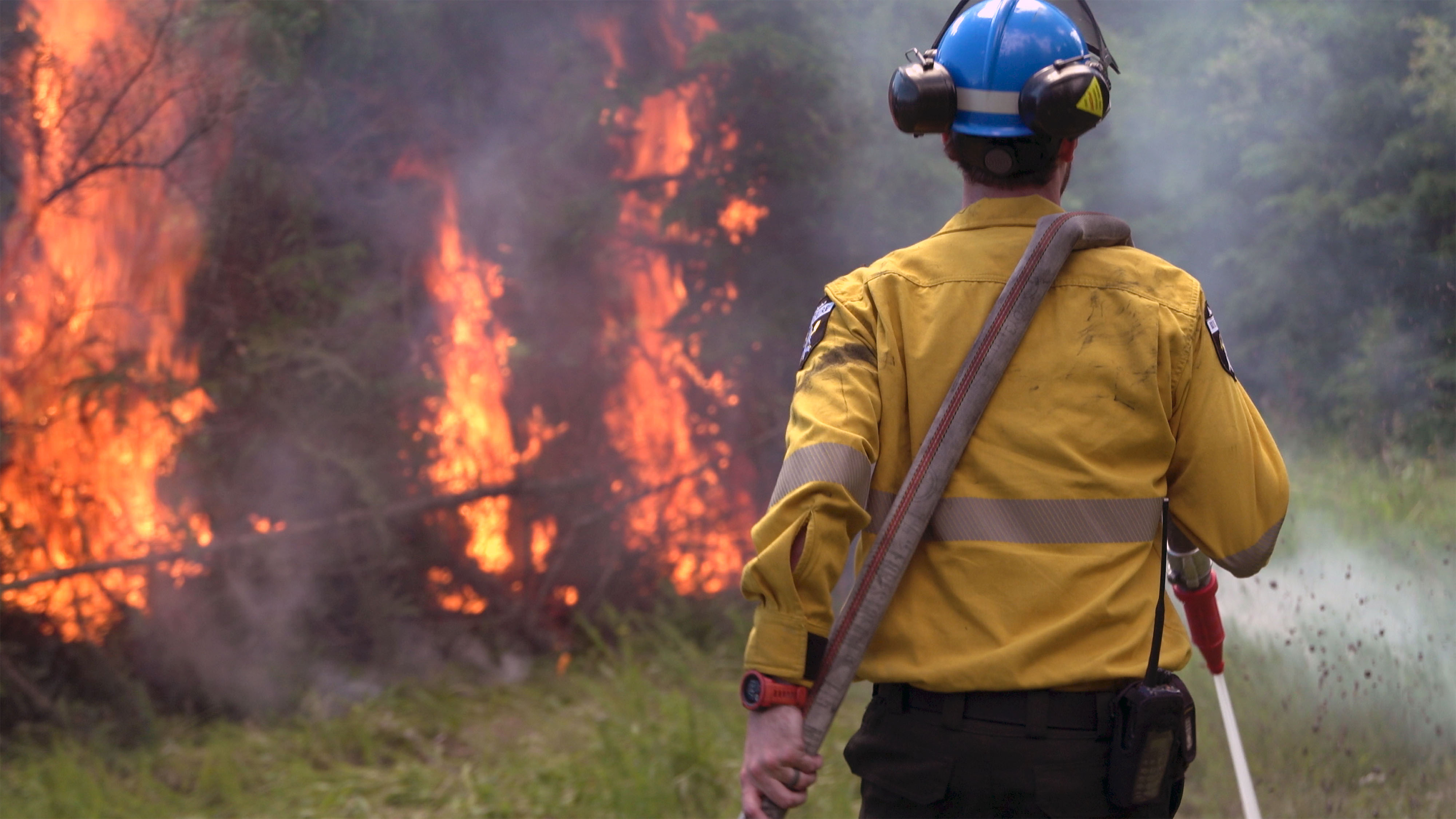 Firefighter' Or 'Forestry Tech'? And Why It Matters