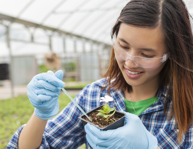 Student working on botany in a greenhouse.