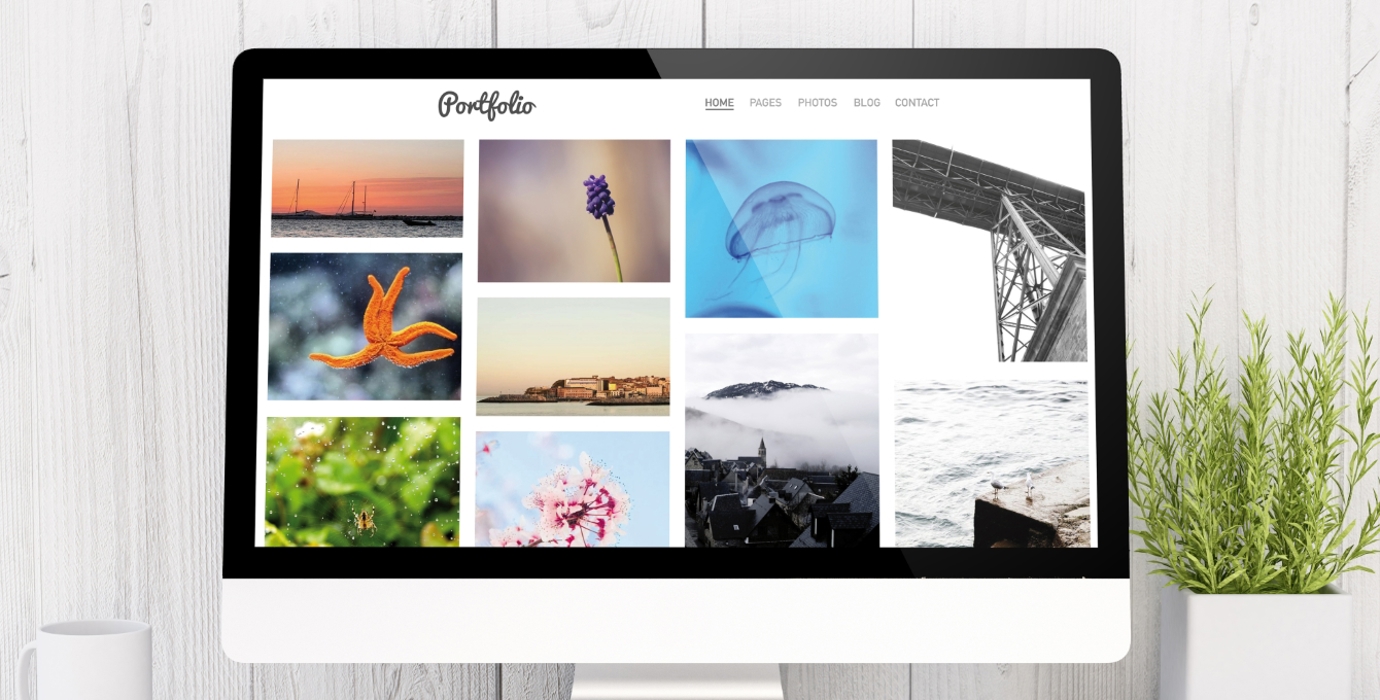 Digital photography portfolio shown on a computer monitor. 