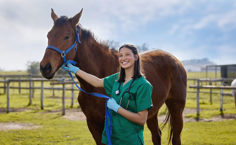 Veterinary technologist standing with a horse